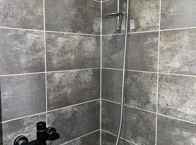 Old Town Center Lejlighed *